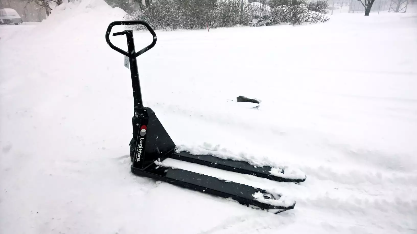 23604 Panther Silent snow 1