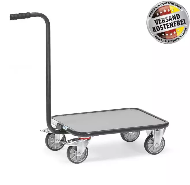 Griffroller 1161 / 7016 - Holzboden